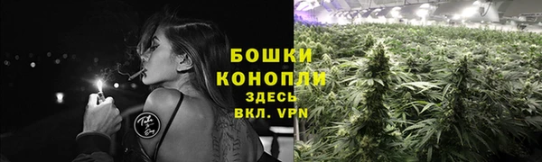 первитин Армянск