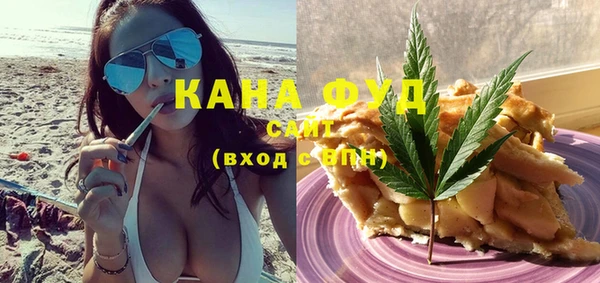 индика Алзамай
