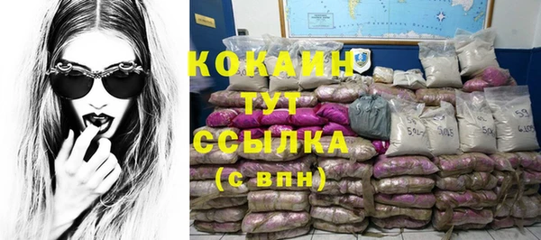 ПСИЛОЦИБИНОВЫЕ ГРИБЫ Аркадак