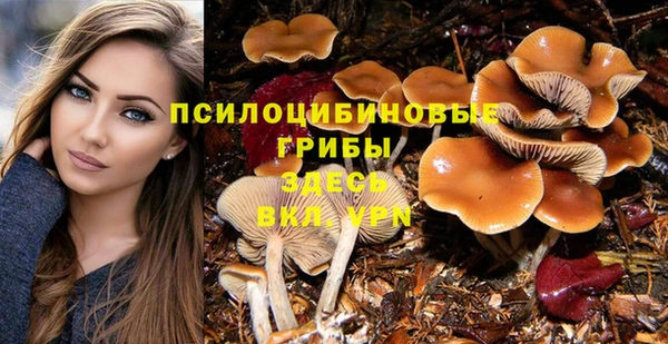индика Алзамай