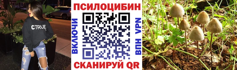 Псилоцибиновые грибы Magic Shrooms  где купить наркоту  kraken зеркало  Георгиевск 