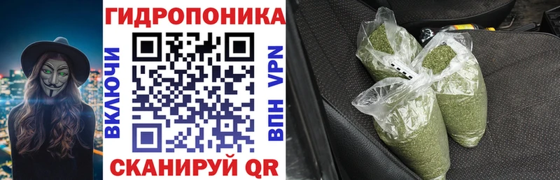 Бошки марихуана тримм Георгиевск